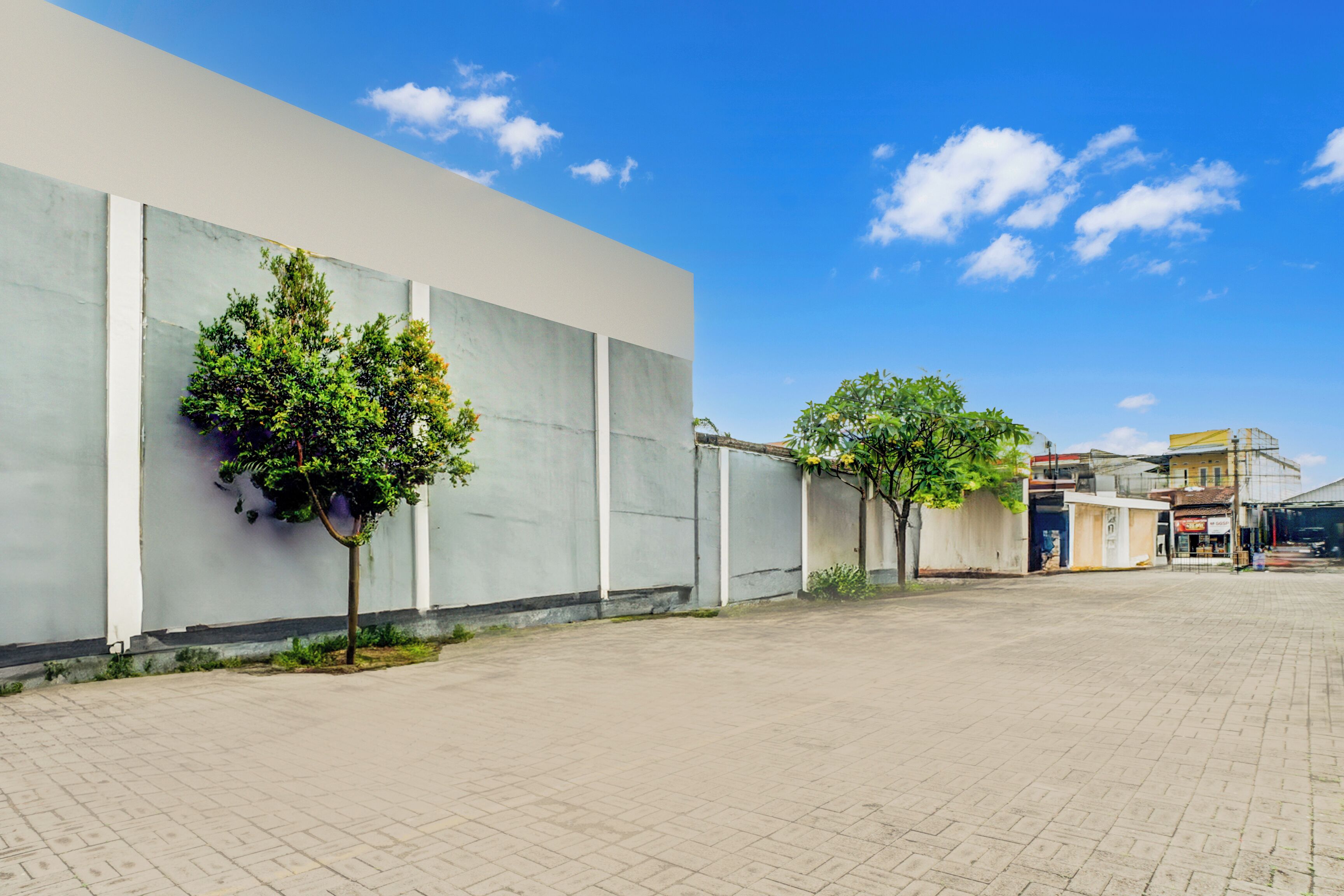 A spacious outdoor area with a paved walkway, a large white wall, and two trees.