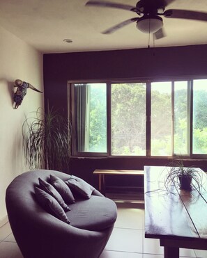 TV, Netflix, books, streaming services