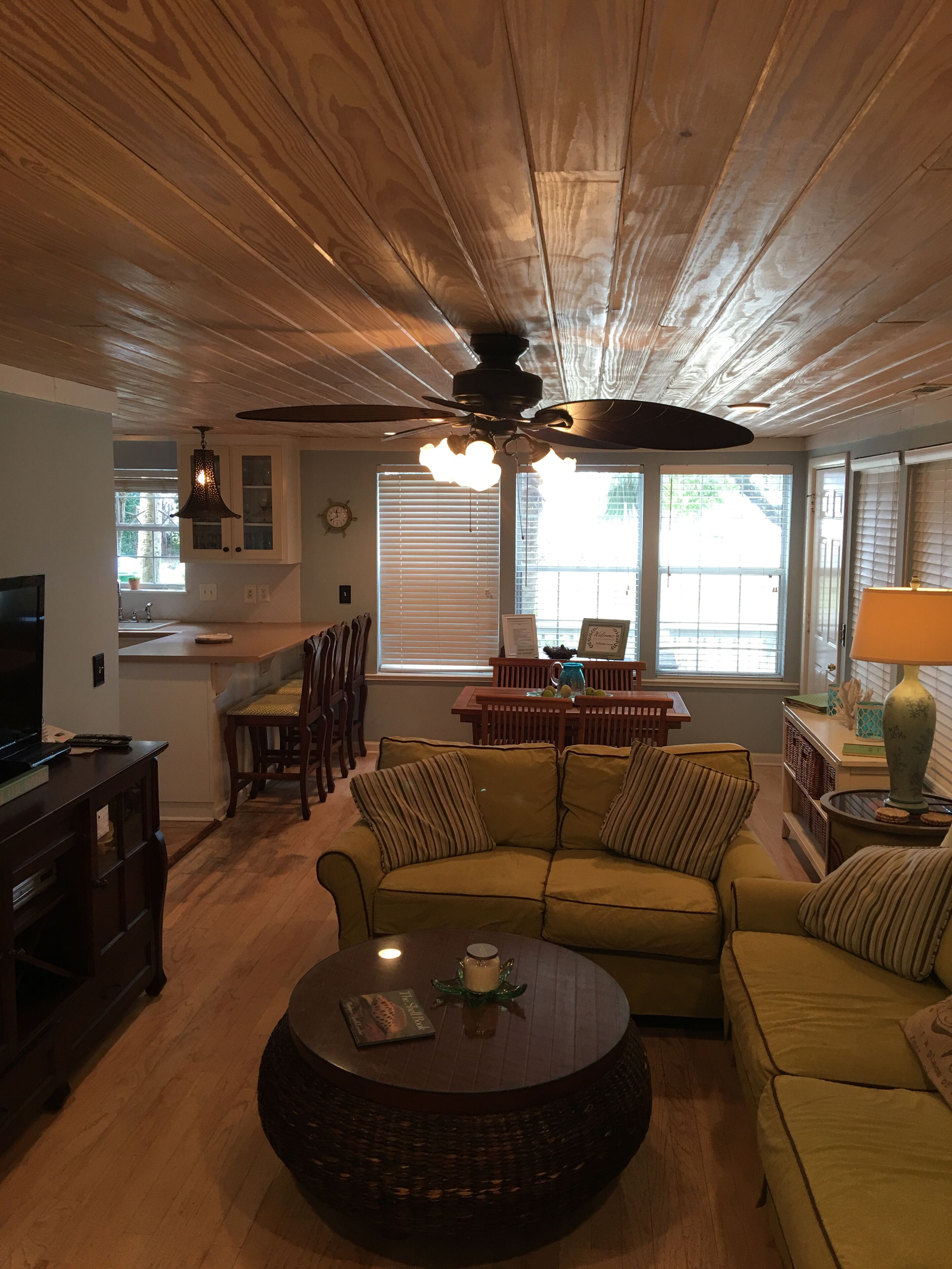 Smart TV, fireplace, DVD player, books