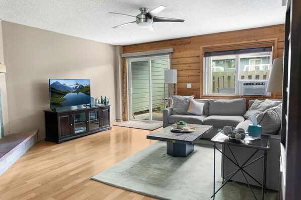 TV connectée, cheminée, lecteur de DVD, livres