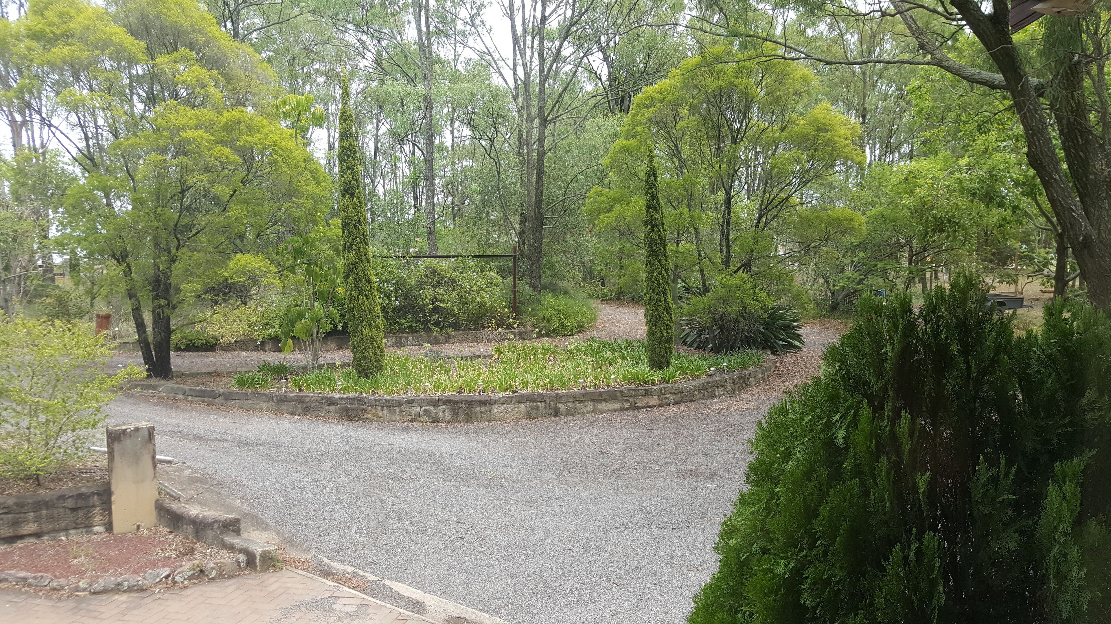 A paved pathway in a park with various trees and shrubs.