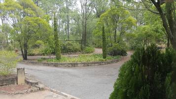 A paved pathway in a park with various trees and shrubs.