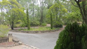 A paved pathway in a park with various trees and shrubs.