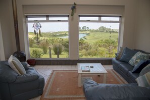 Comfort House | Living room | TV, fireplace - 20 Dunnage (Knysna)