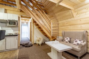 55-英寸纯平电视 (配备卫星频道)、电视