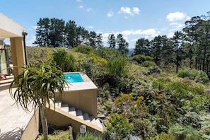 A pool with a view of a forested hillside, a staircase leading to a deck, and a potted plant in the foreground.