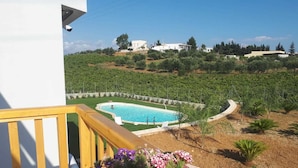 Una piscina rodeada por un jardín con flores, una terraza de madera y vistas a un viñedo y edificios a lo lejos.