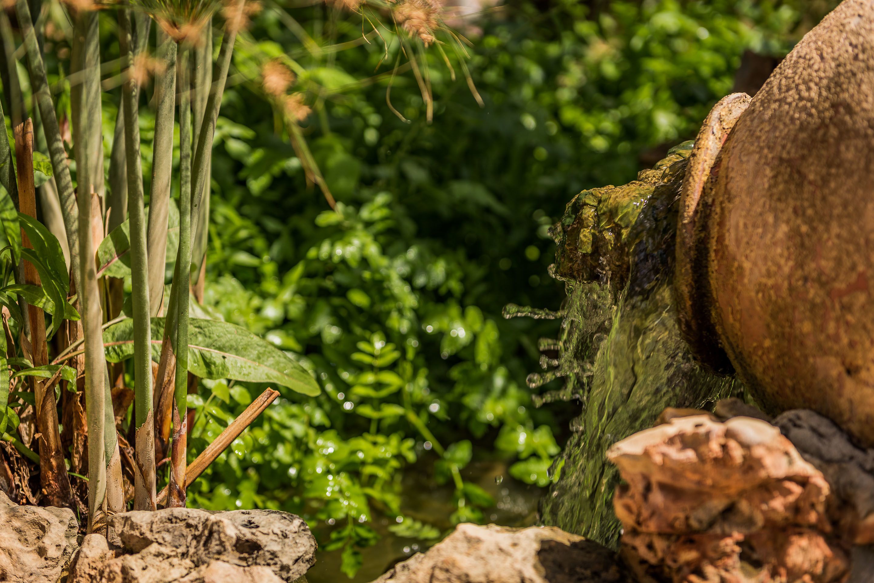 Photo - The Residence by the Beach House Marbella