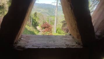 Habitación doble, 1 cama Queen size, vista al jardín | Vista al jardín