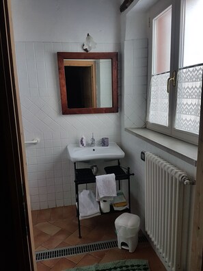 Habitación doble, 1 cama de matrimonio, accesible para personas con discapacidad, vistas al jardín | Baño | Ducha, cabezal de ducha tipo lluvia, secador de pelo y jabón