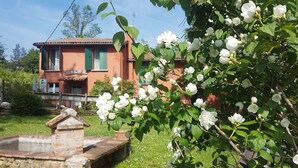 Une maison de campagne au charme rustique, avec un puits en pierre, entourée d’une végétation luxuriante et de fleurs blanches en pleine floraison.