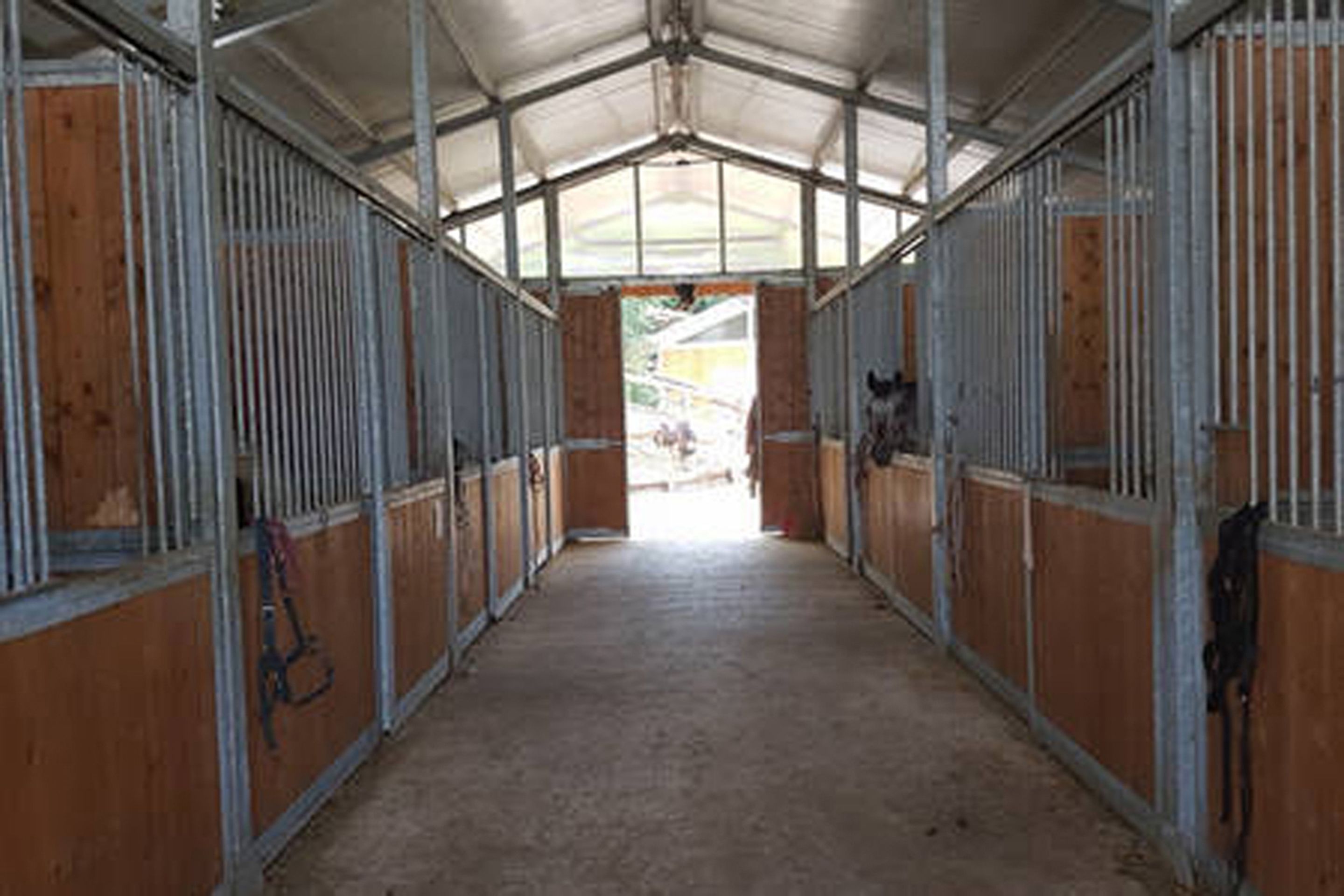 Escursioni a cavallo