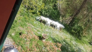 Studio, 1 Queen-Bett und Schlafsofa, Gartenblick | Blick auf den Garten