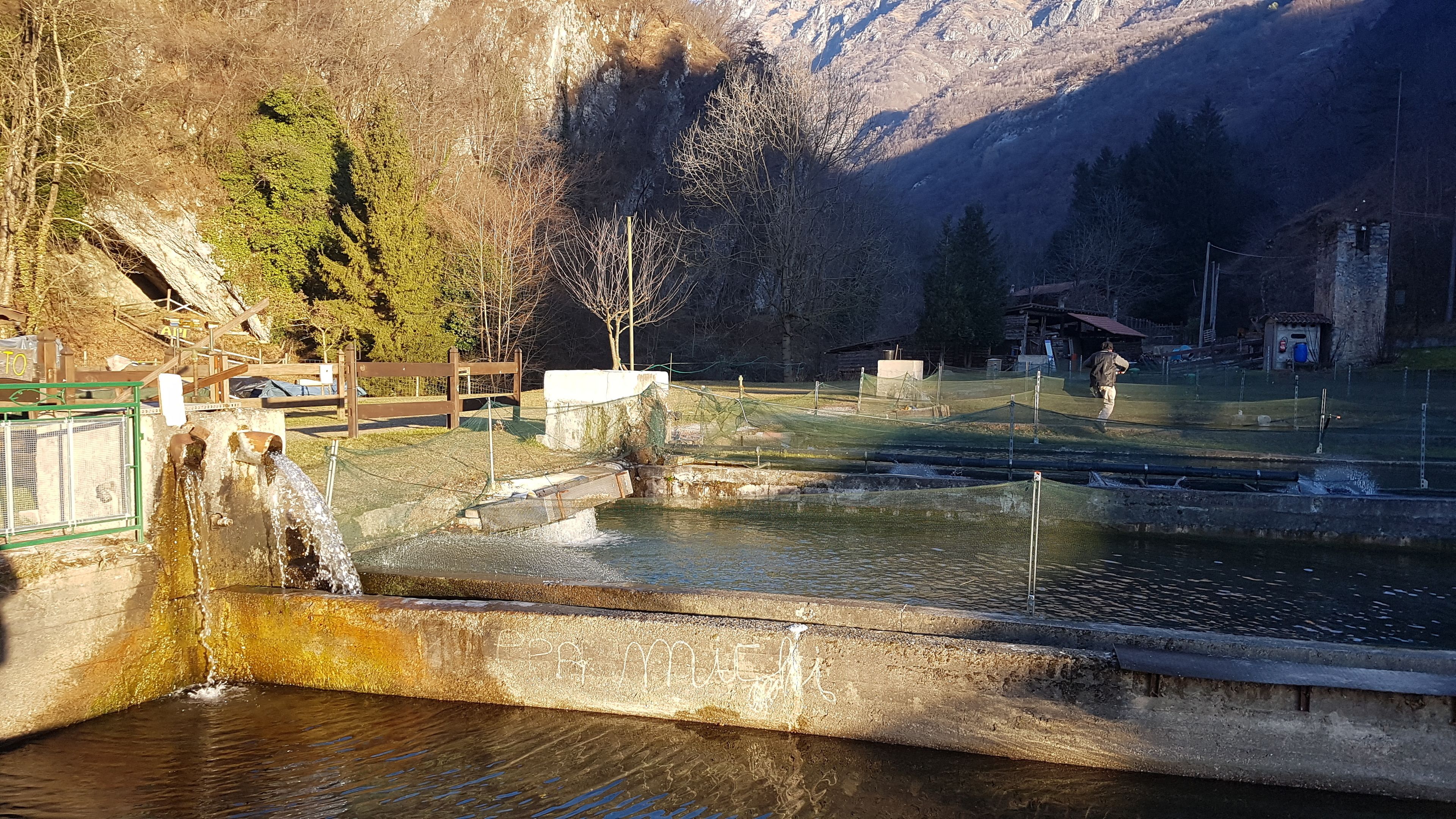 Foto - Agriturismo La Vecchia Chioderia