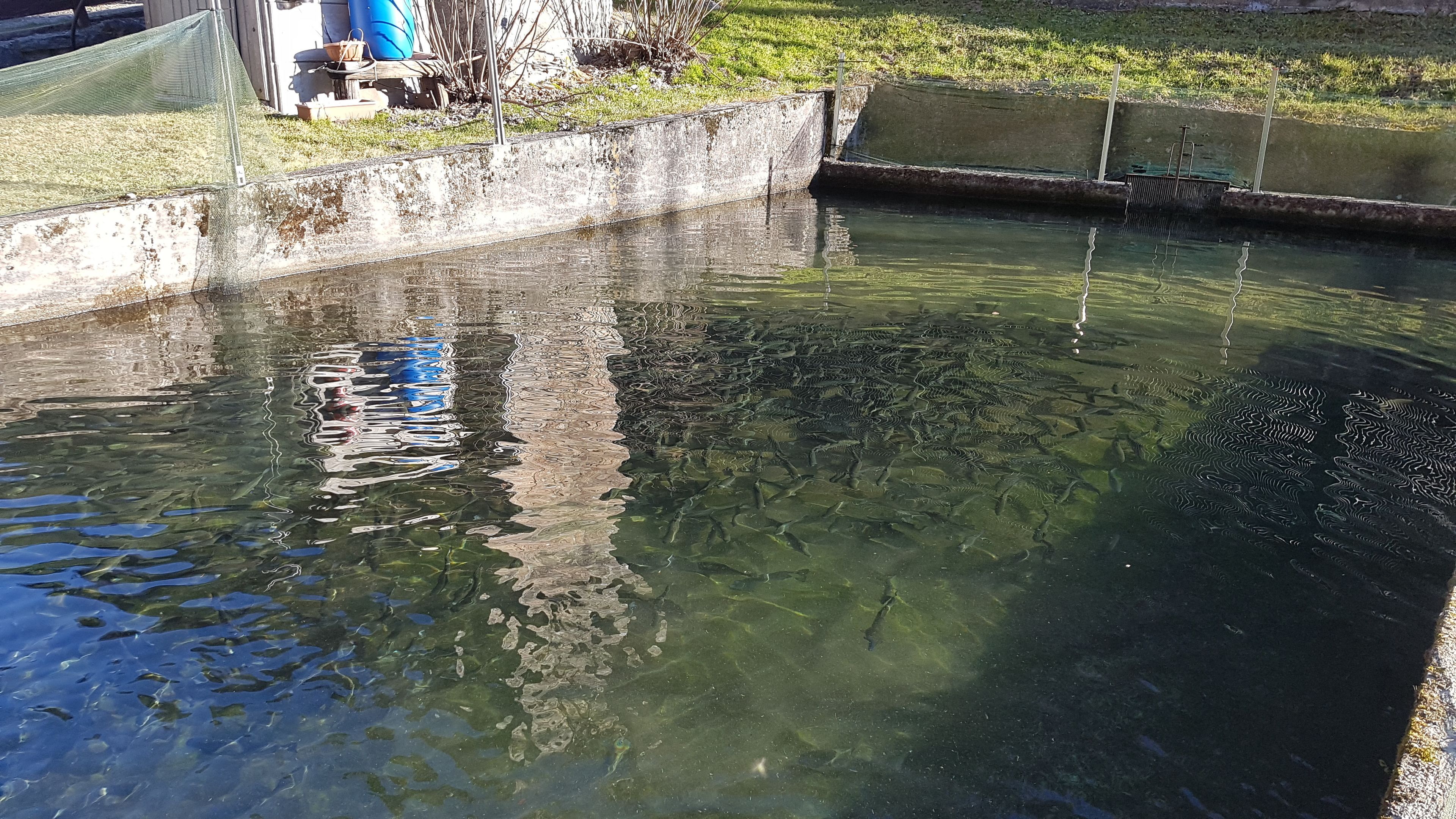 Foto - Agriturismo La Vecchia Chioderia