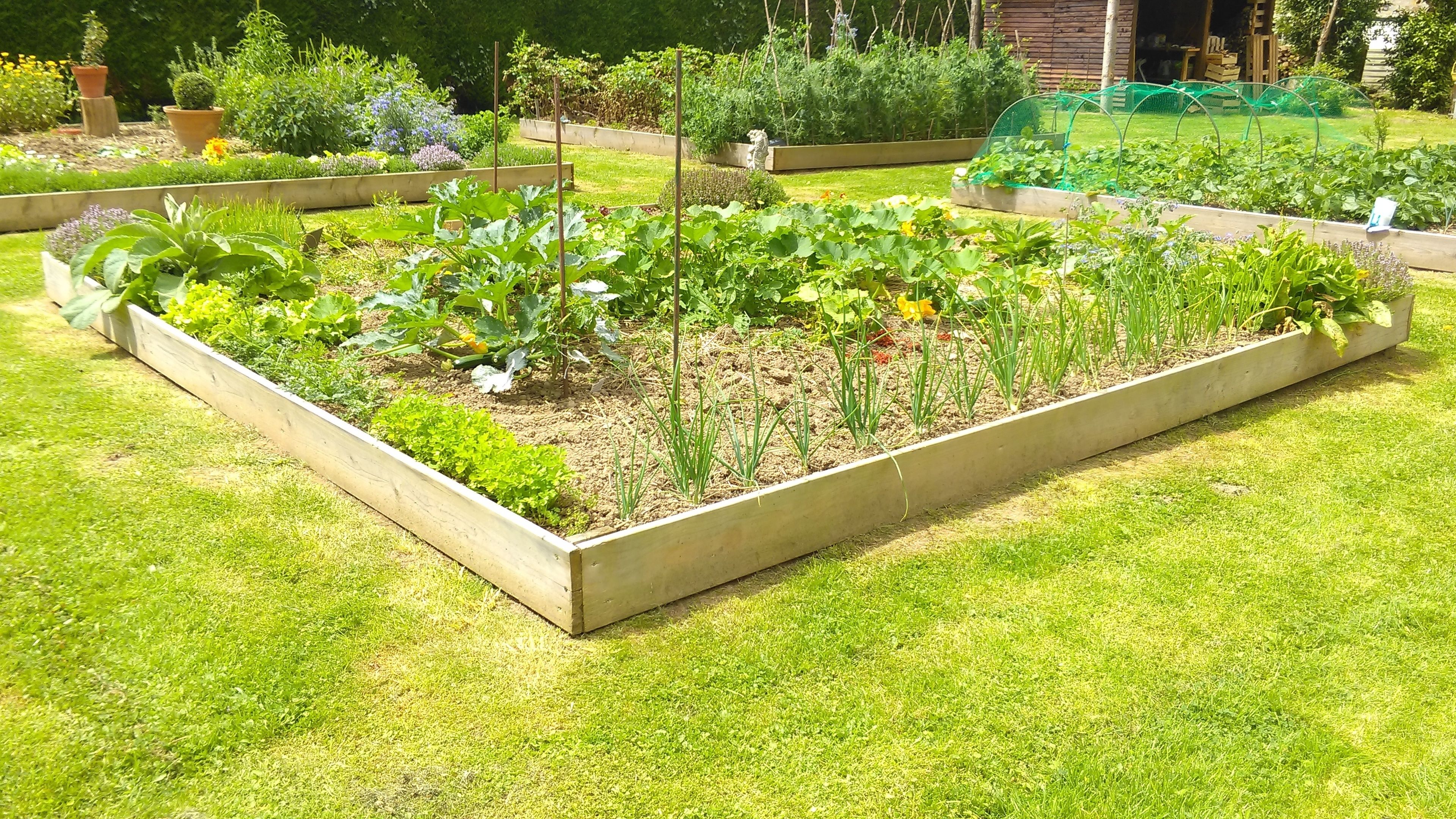 A well-maintained garden with raised beds, a variety of plants, and a neatly trimmed lawn.