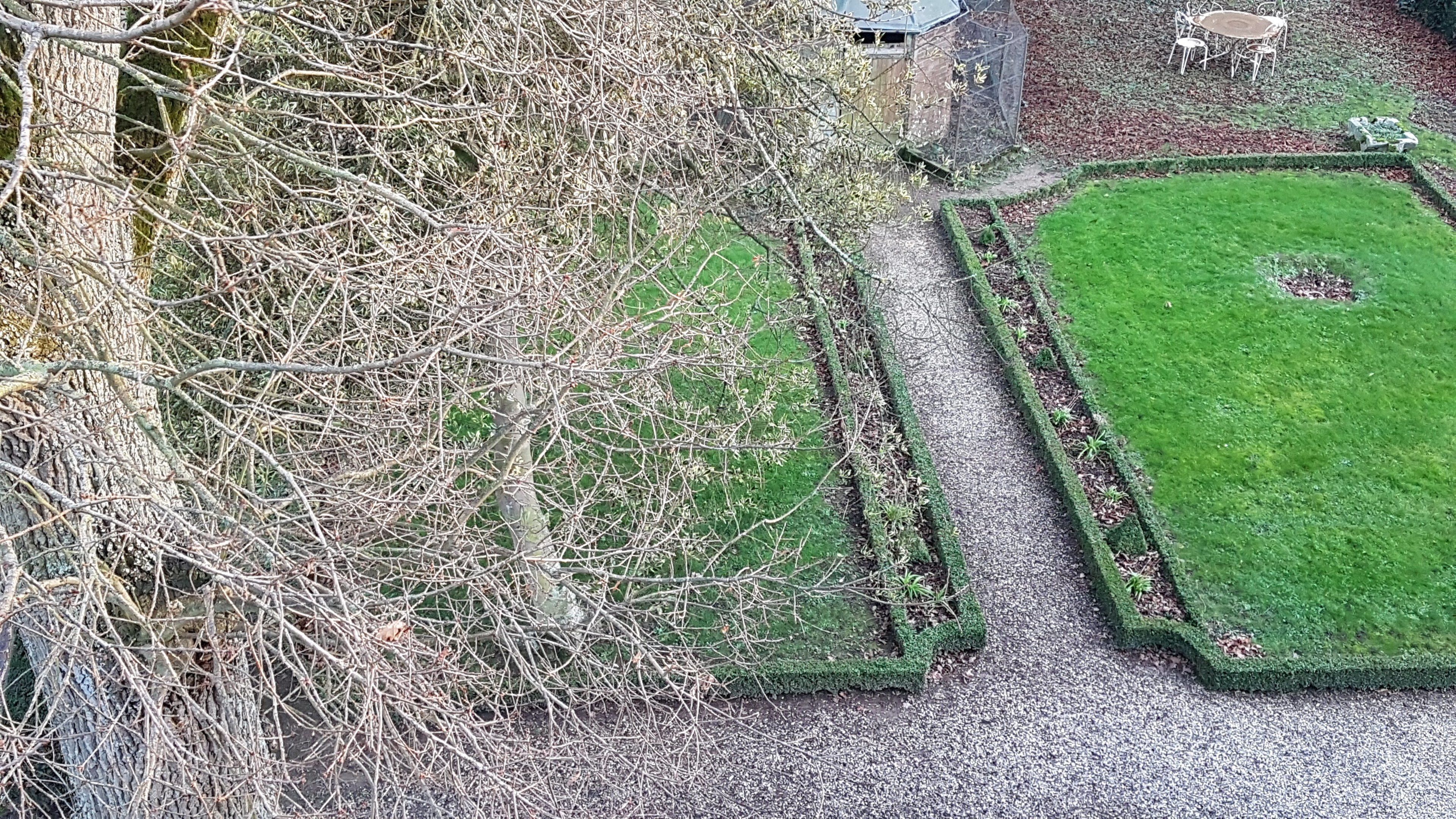 Un jardin aménagé avec un chemin pavé, une pelouse verdoyante et un arbre aux branches nues.