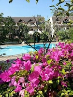 A swimming pool surrounded by bougainvillea flowers, with a building in the background.