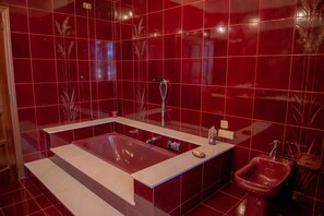 Hair dryer, bidet, towels - Villa Rosa (Petriolo)