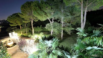 Área da propriedade