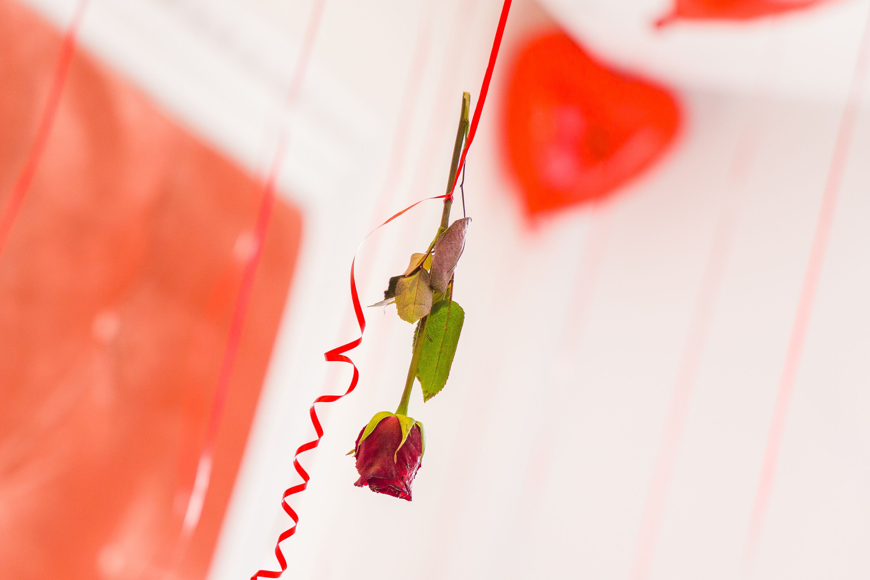 Photo - Mandarin Palace Hotel & Spa