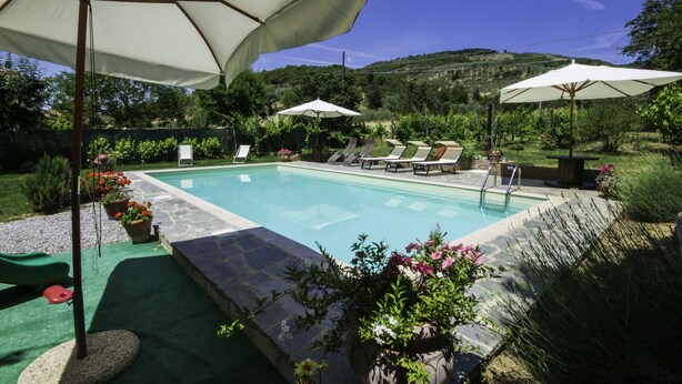 A swimming pool with lounge chairs and umbrellas, surrounded by greenery and a hilly landscape. - Casa Lina (Castiglion Fiorentino)
