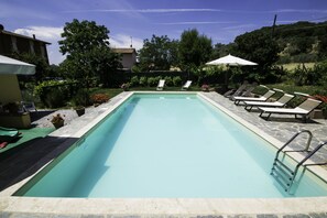 Seasonal outdoor pool, pool umbrellas, pool loungers