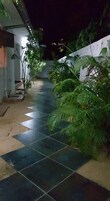 Un estrecho pasillo exterior con suelo de baldosas, rodeado de follaje y una pared blanca.