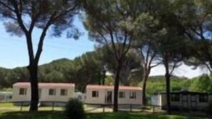 A row of mobile homes with a grassy area and trees in the background. - Camping Aurelia Club (Rome)