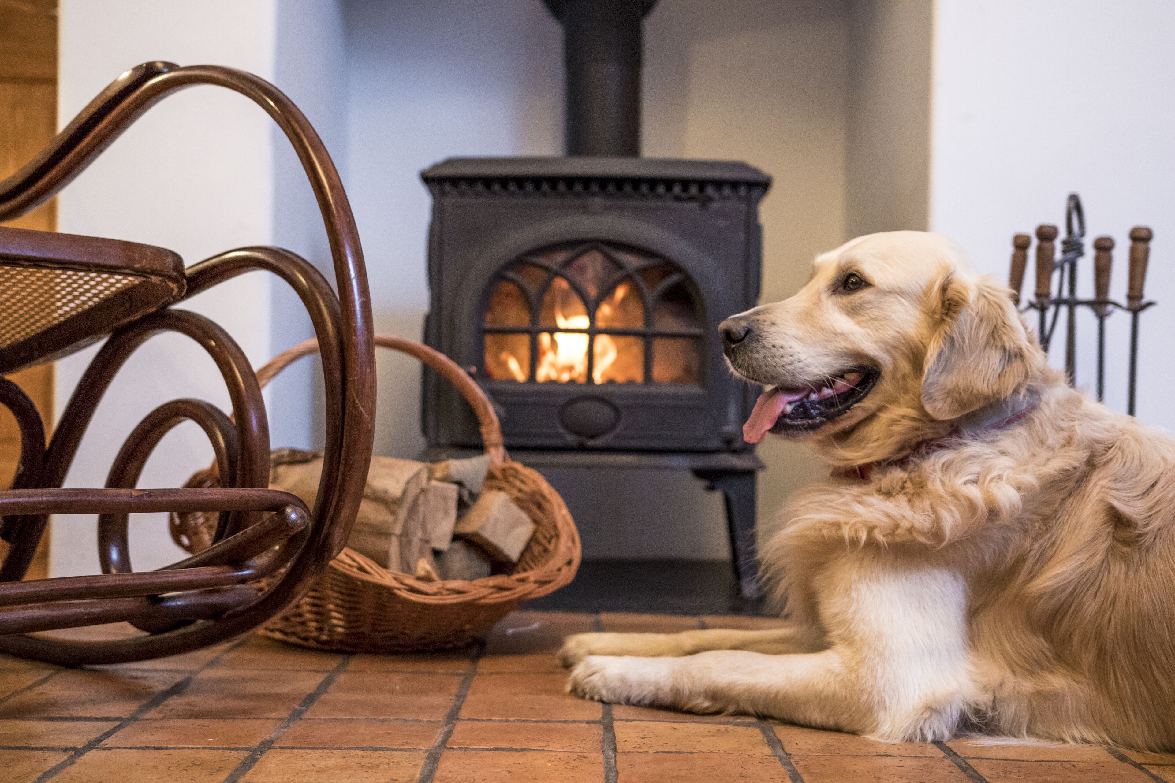 A dog sitting in front of a wood-burning stove with a basket of firewood nearby.