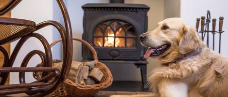 A dog sitting in front of a wood-burning stove with a basket of firewood nearby.