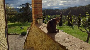 Property grounds - Le Terre Di Caprano (Città di Castello)