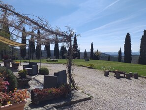 View from room - Le Terre Di Caprano (Città di Castello)