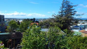 Un quartier résidentiel avec des maisons, des arbres et un ciel dégagé.