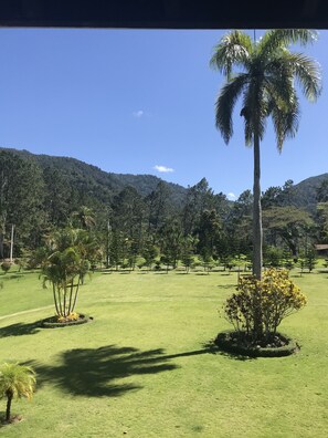 Área da propriedade