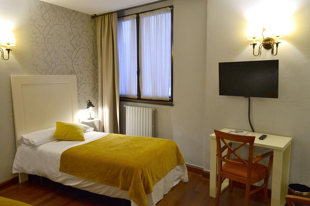 A hotel room with a bed, a desk, a chair, a television, and a radiator.
