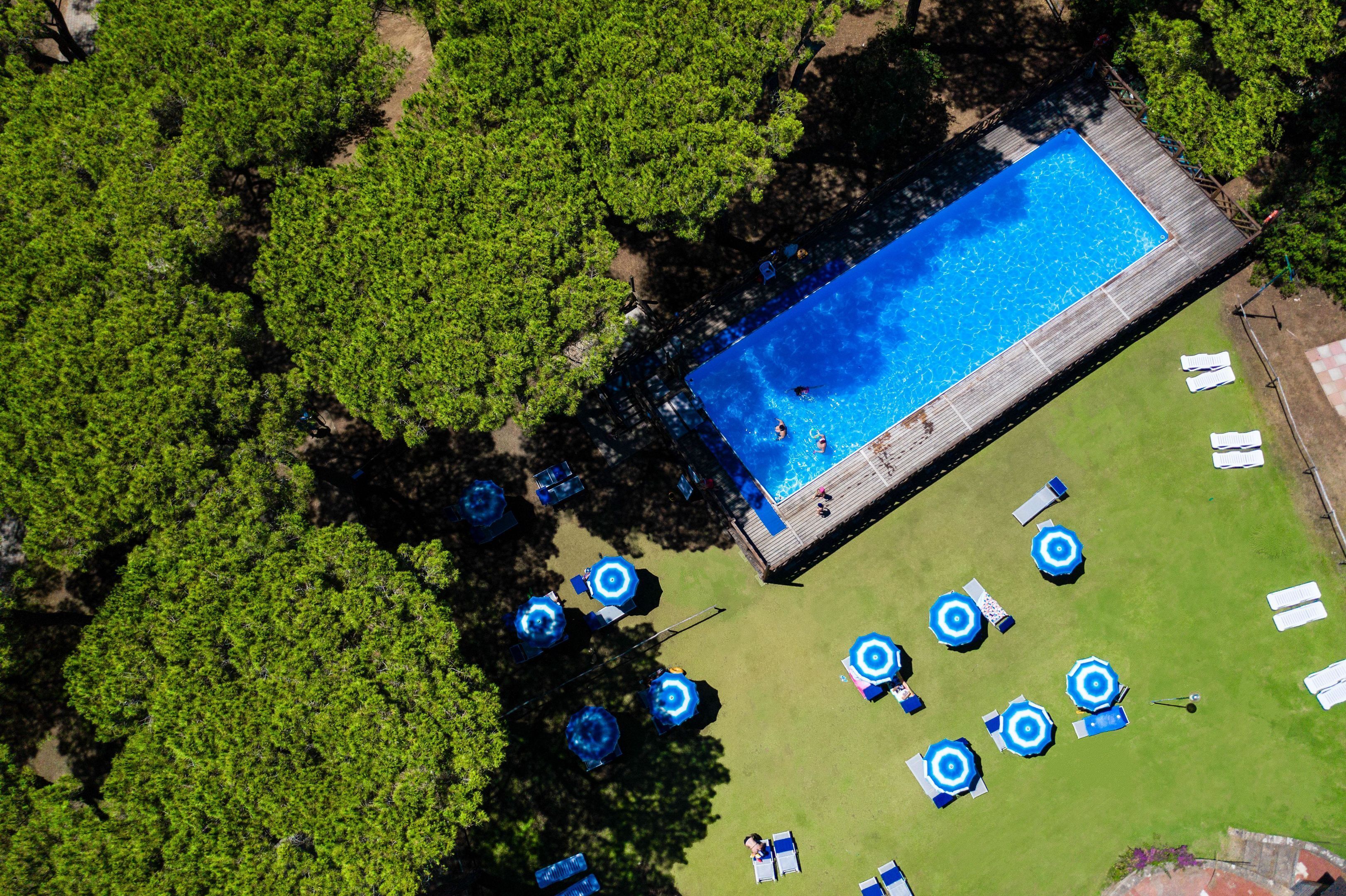 An aerial view of a swimming pool surrounded by lush greenery, with several sun loungers and umbrellas.