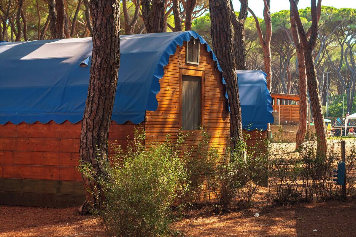 Eine kleine Holzhütte mit einem blauen Planendach, umgeben von Bäumen und einem eingezäunten Bereich.