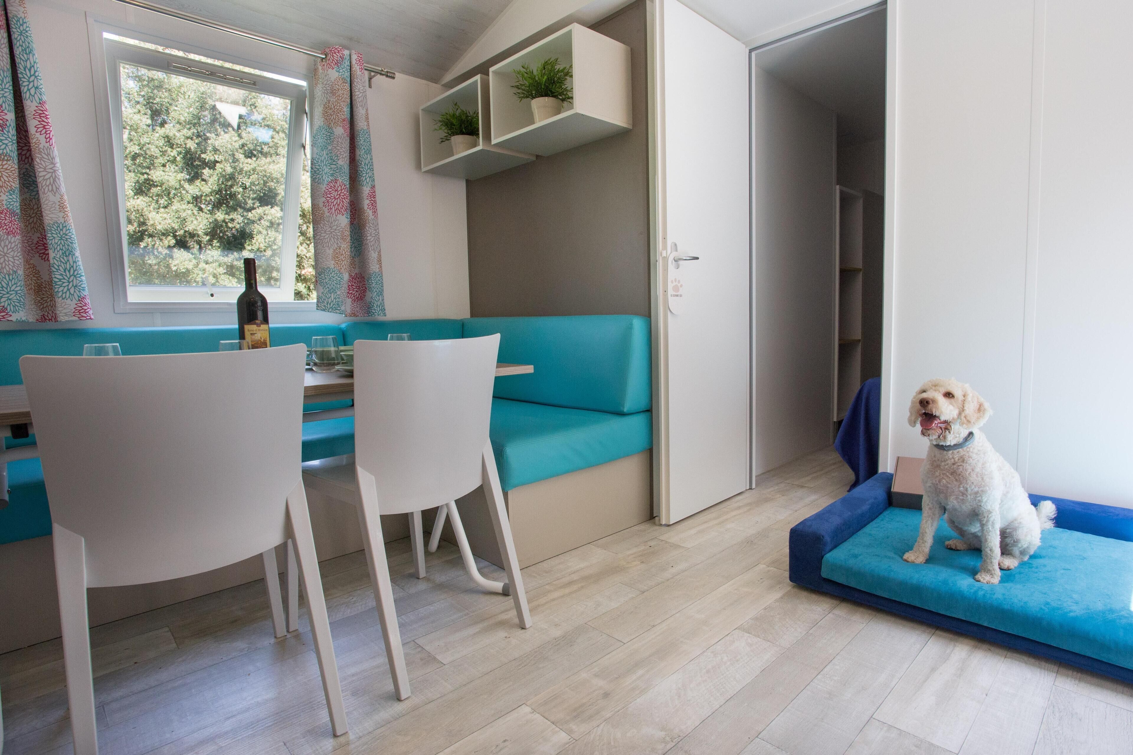 Un espacio de estar moderno con un sofá color turquesa, sillas blancas, una mesa de comedor y una cama para perro.