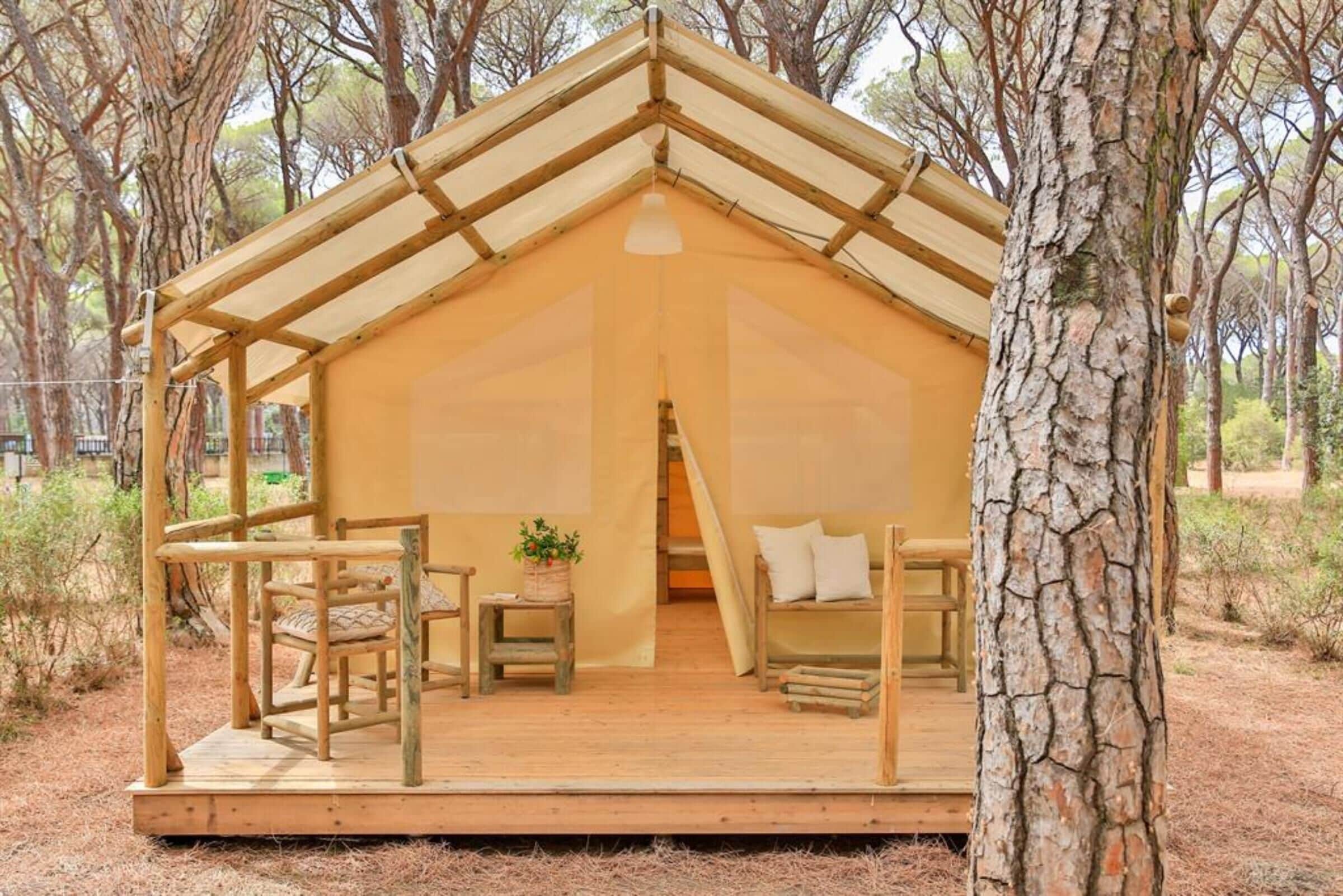 Family Tent, Shared Bathroom | Terrace/patio