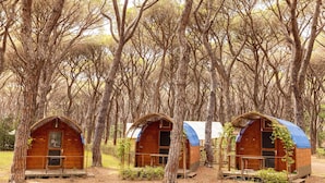 Three wooden cabins in a forest, each with a porch and a window. - Gitavillage Le Marze (Grosseto)