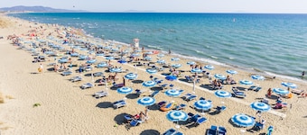 ๊ธฐํ๋น๋ฆฌ์ง ๋ ๋ง๋ฅด์ฒด