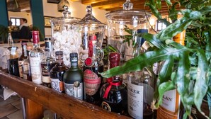 Een barruimte met diverse flessen drank, waaronder whiskey en rum, en een grote groene plant op de voorgrond.