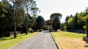 A gravel driveway leading to a house with a red roof, surrounded by trees and a stone wall.