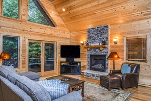 Televisión, chimenea, reproductor de DVD