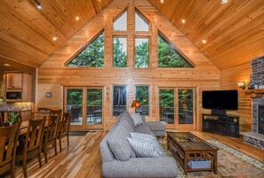 Televisión, chimenea, reproductor de DVD