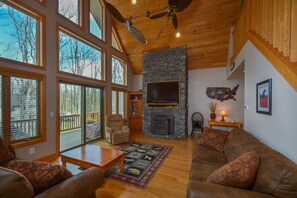 TV, fireplace