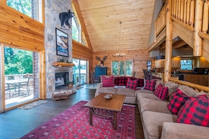TV, fireplace, DVD player