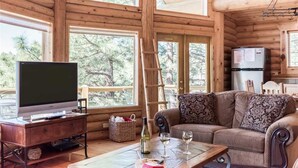 Cabin, Multiple Beds, Hot Tub, Mountain View | Living room | Flat-screen TV, fireplace, DVD player - Mountain Valley View - Three Bedroom Cabin with Hot Tub (Ruidoso)