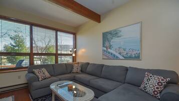 TV, fireplace, DVD player